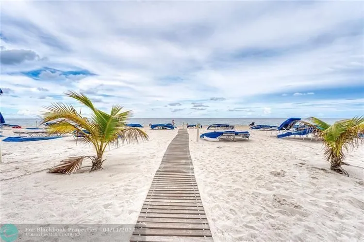 Royal Ambassador #1609 image #20