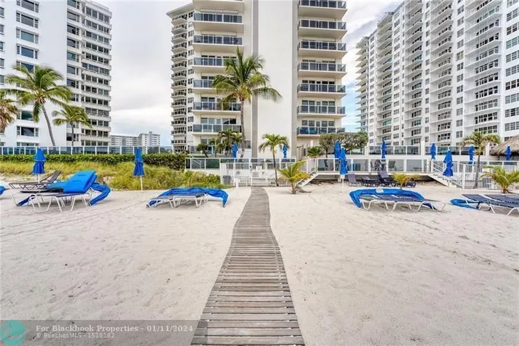 Royal Ambassador #1609 image #21