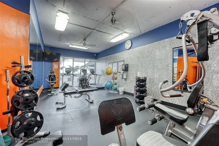 Royal Ambassador #1609 image #23