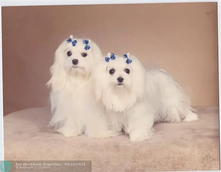 Berkley South #8G image #53