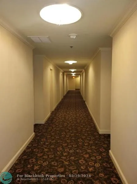 David William #906 image #17