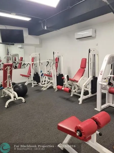 David William #906 image #18