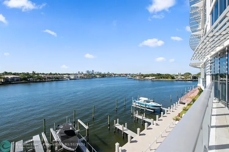 Adagio #301 image #29