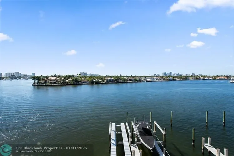 Adagio #301 image #30