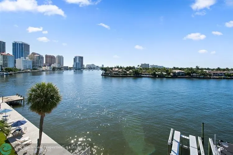 Adagio #301 image #31