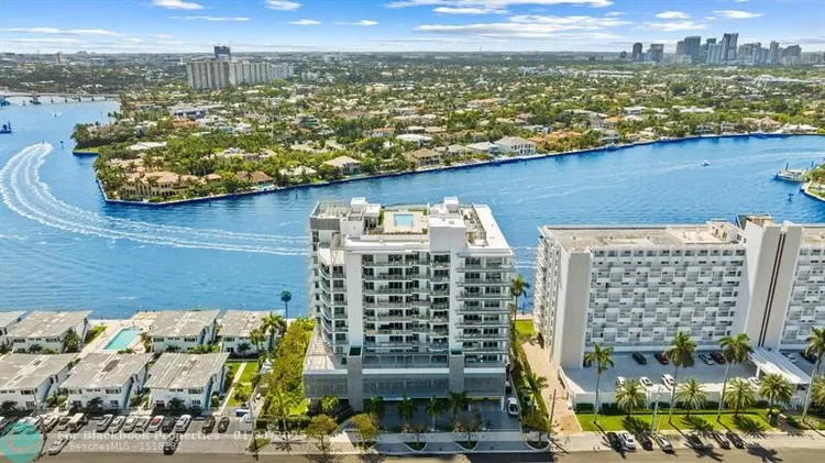 Adagio #301 image #39