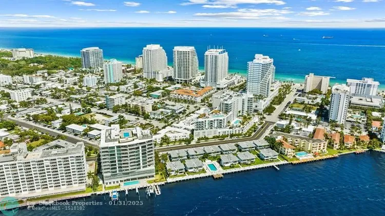 Adagio #301 image #45