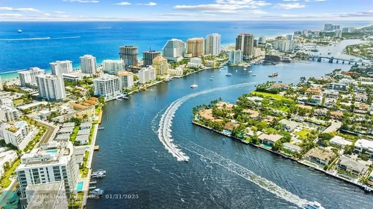 Adagio #301 image #46