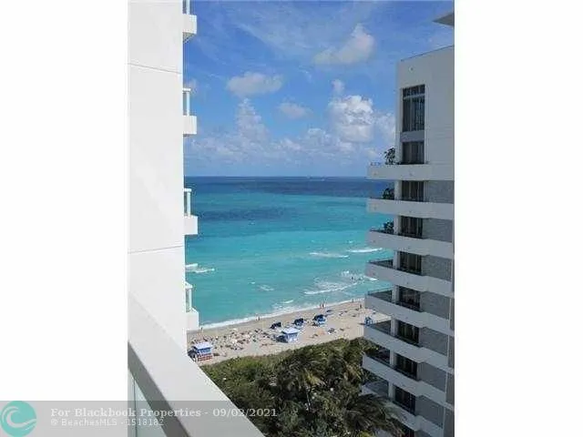 Fontainebleau III Sorrento #1216 image #7