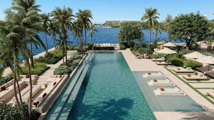 Olin Palm Beach image #8