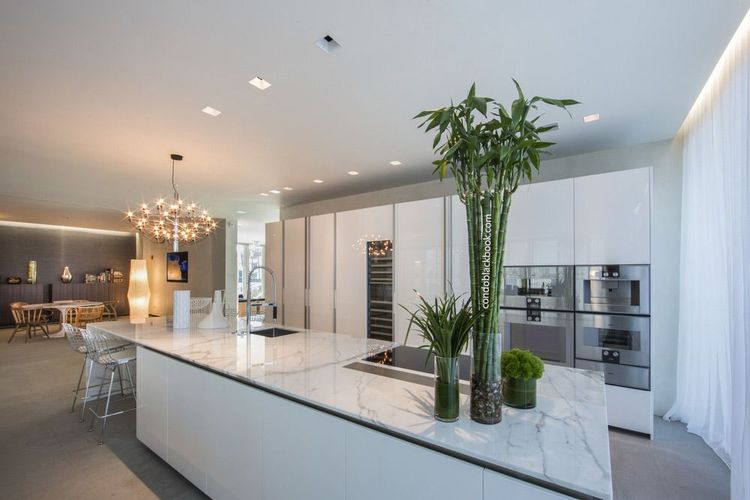 Oceana Bal Harbour image #14