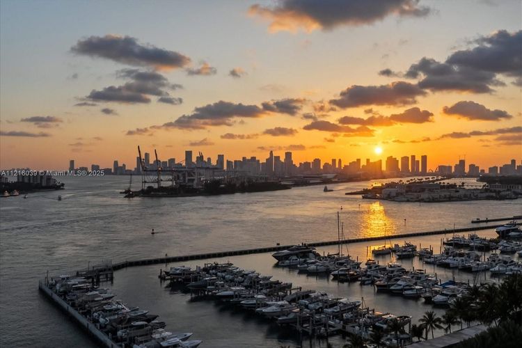 Apogee #1204 image #44