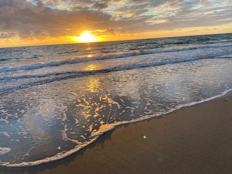 Parker Dorado #307 image #18