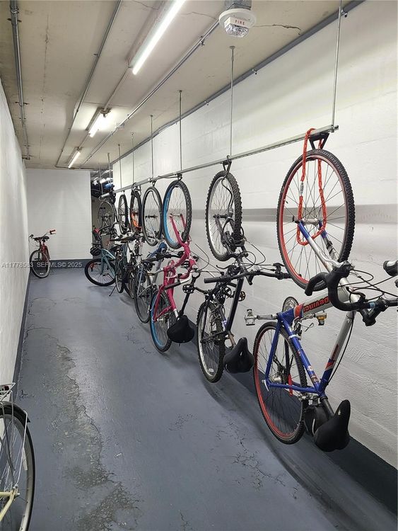 Parker Dorado #307 image #24