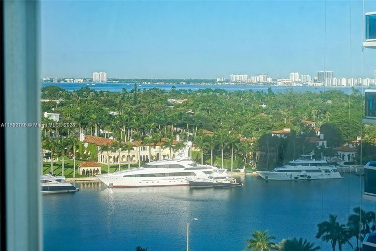 Mimosa #1108 image #11