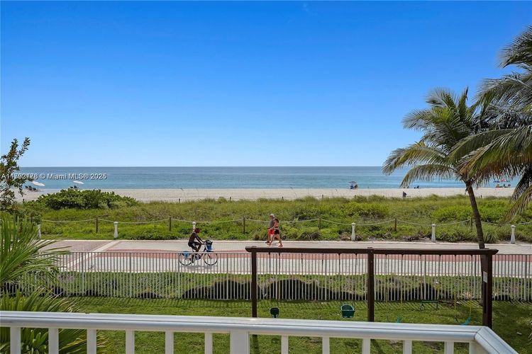 Mimosa #1108 image #13