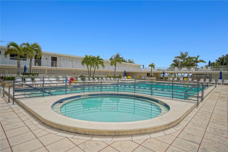 Mimosa #1108 image #15