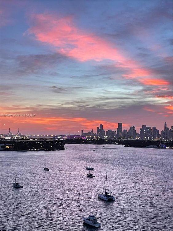 Flamingo South Beach #1532S image #31