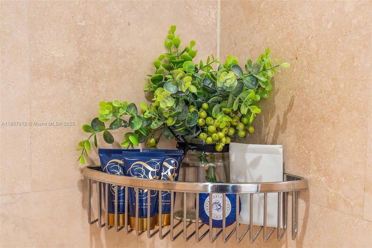 Fontainebleau II Tresor #3505 image #23