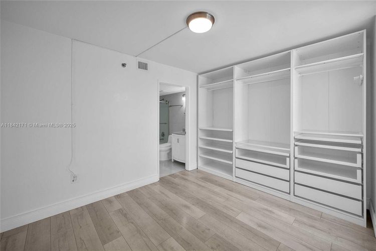 Madison Downtown #W-1804 image #23