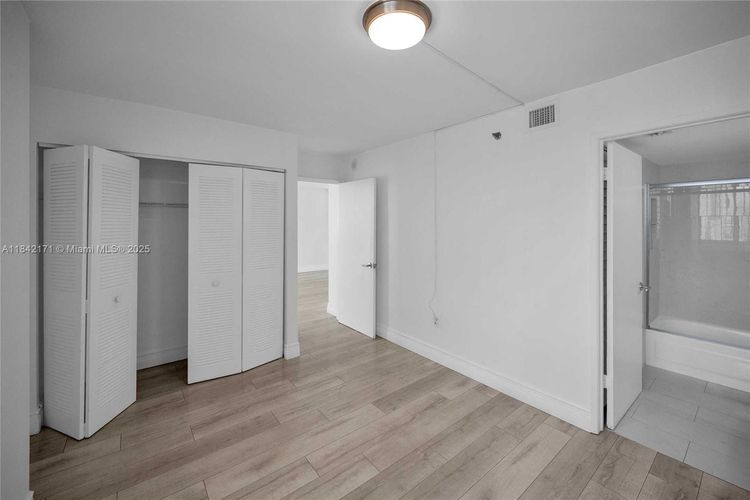 Madison Downtown #W-1804 image #9