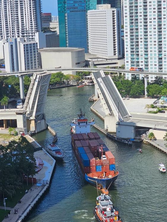 Neo Vertika #2515 image #24