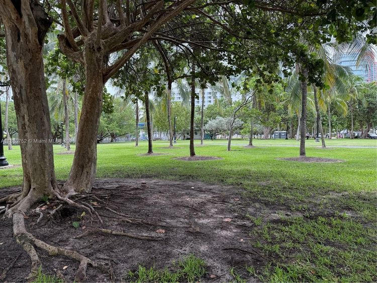 Ocean Park #505 image #15