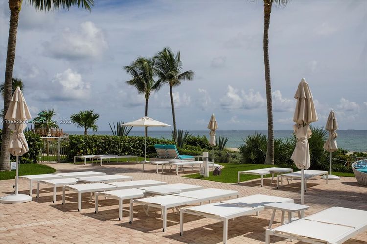 Trump Royale #5301 image #42