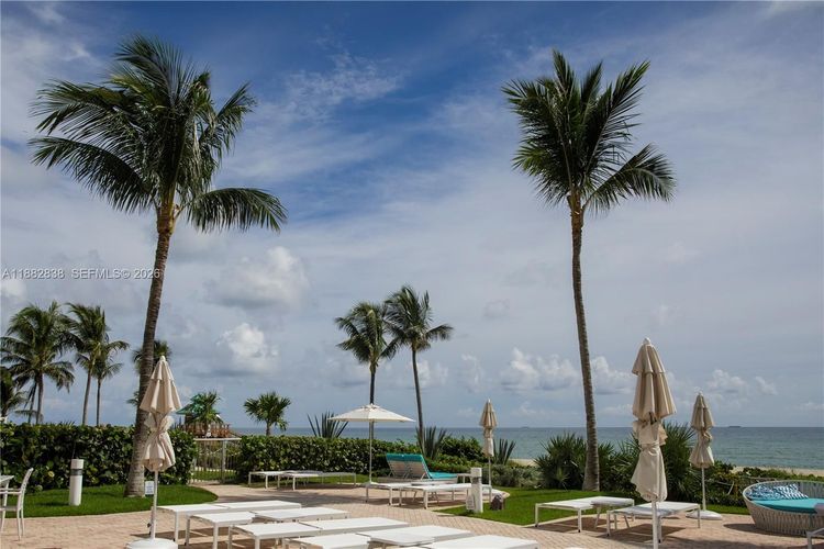 Trump Royale #5301 image #43