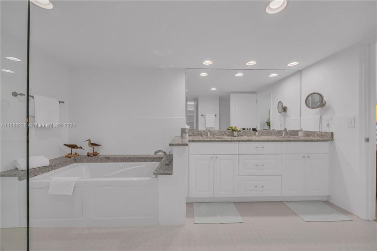 Biltmore II #718 image #19