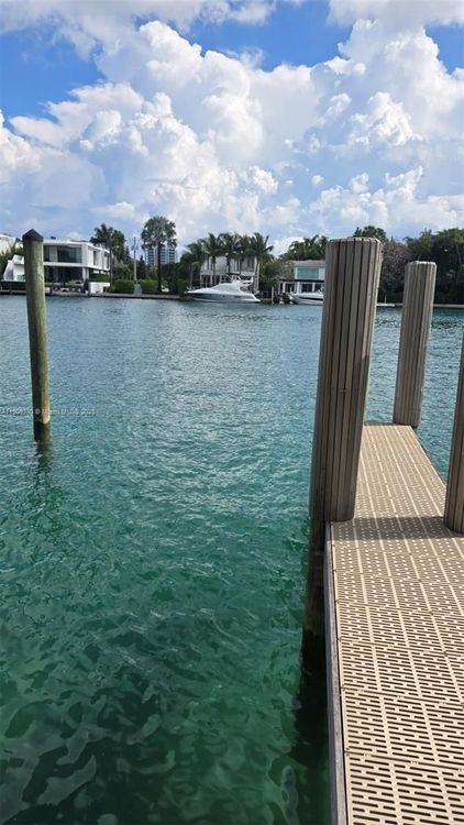 The Ivory #402 image #50