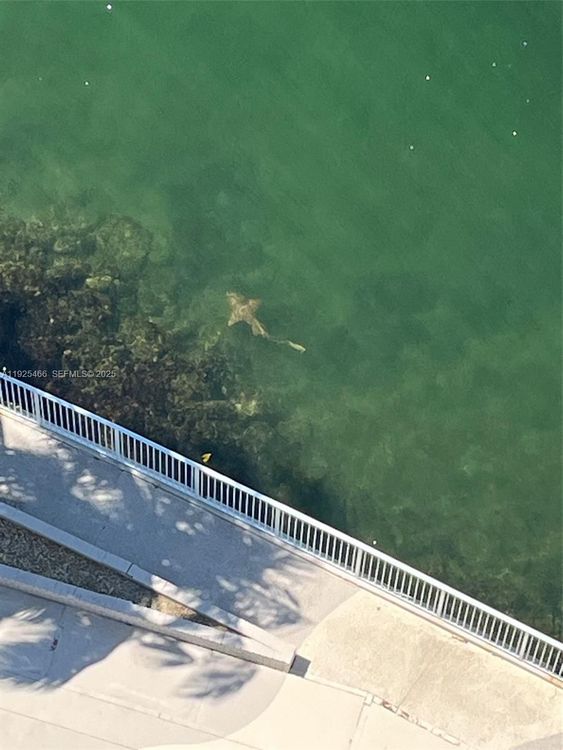 Kennedy House #PHI image #49