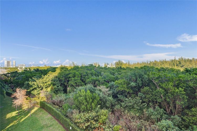 One Fifty One At Biscayne #401 image #38