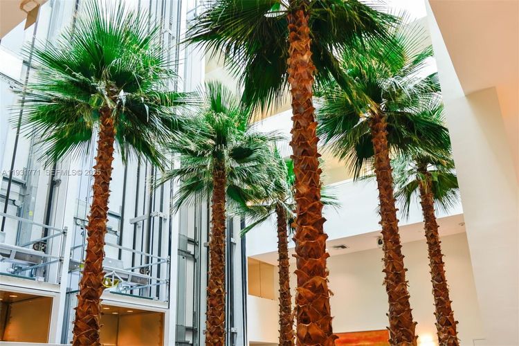 Atrium #1-1213 image #23