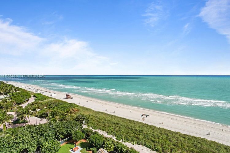 Mar De Plata #1005 image #14