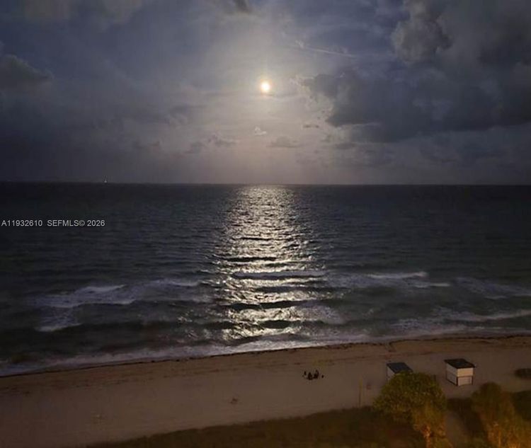 Mar De Plata #1005 image #35