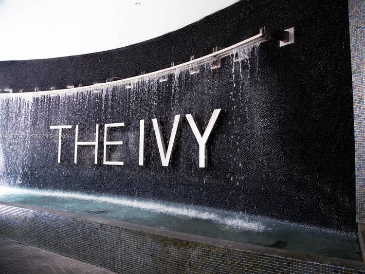 Ivy #2703 image #15