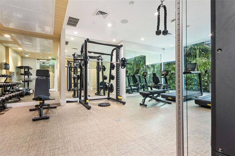 Aurora #905 image #24