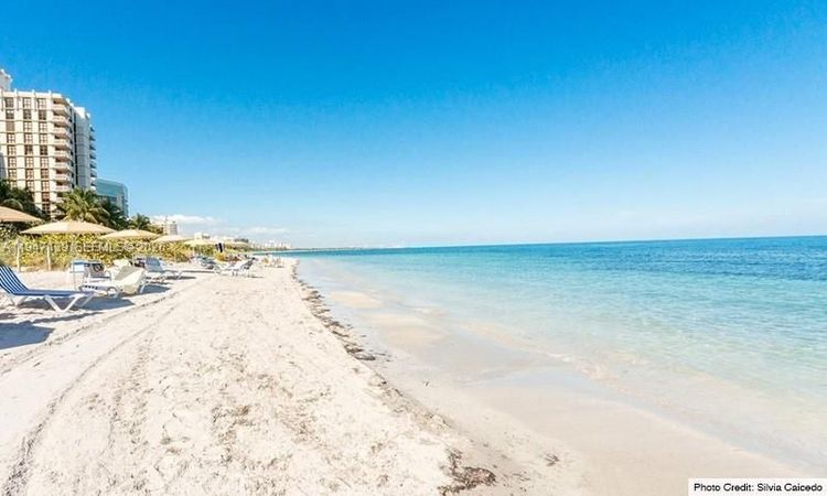 Towers of Key Biscayne #E201 image #33