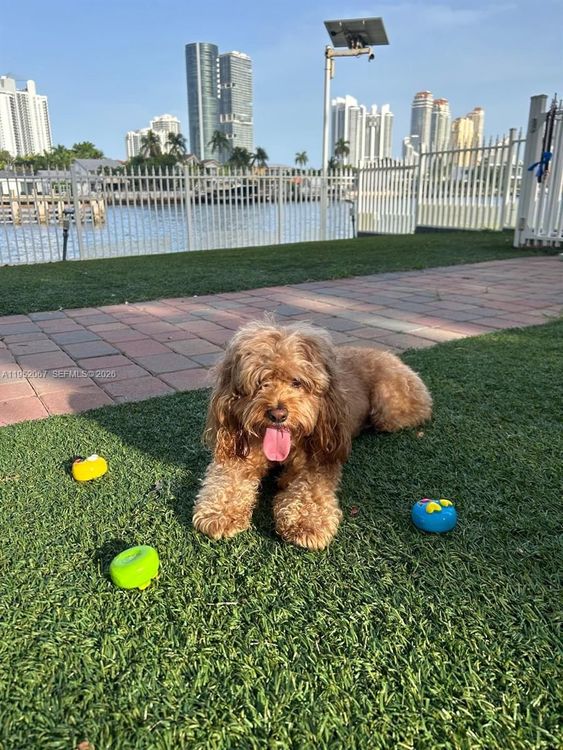 Mystic Pointe 400 #2908 image #35