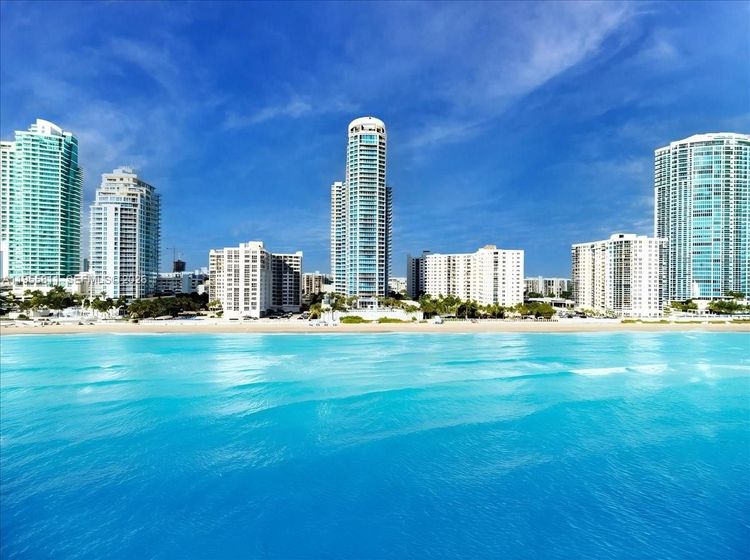 Ocean Palms Hollywood #3003 image #10