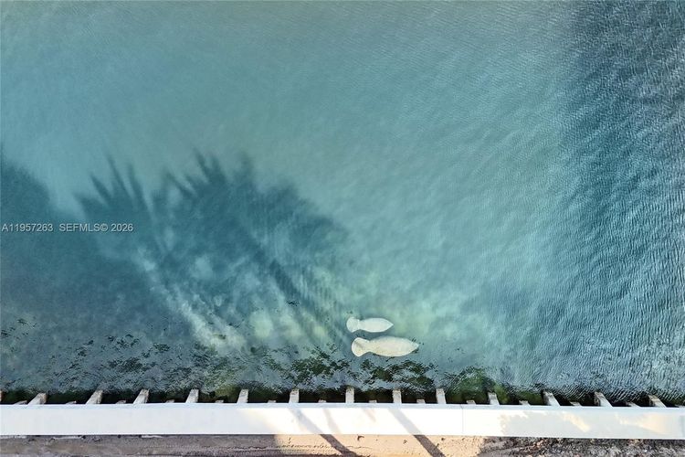 Hamptons South #1808 image #49