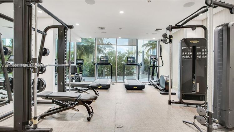 Aurora #505 image #14