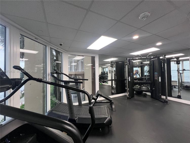 Isola #1601 image #39