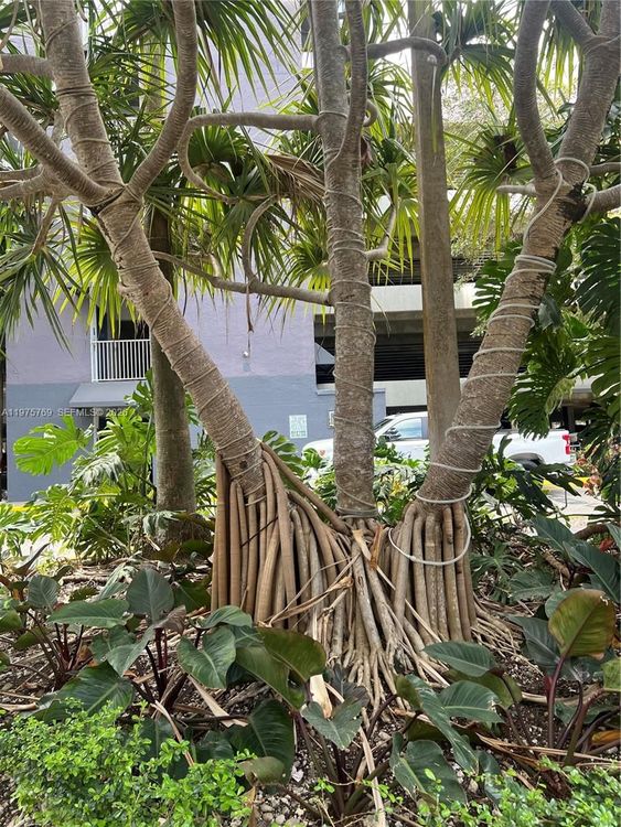 Madison Downtown #W-1808 image #35