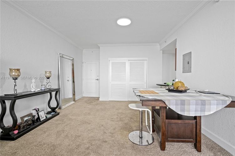 401 Blu Condo #PH109 image #20