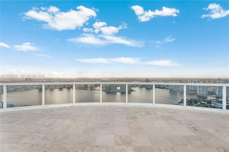 Trump Royale #TS1 image #42