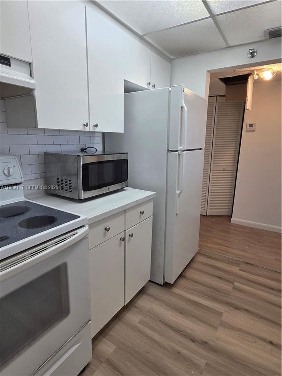 Madison Downtown #W-605 image #12