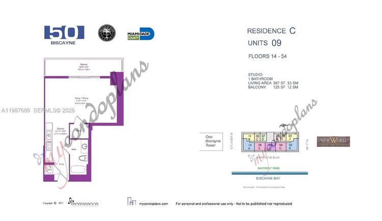 50 Biscayne #4909 image #24