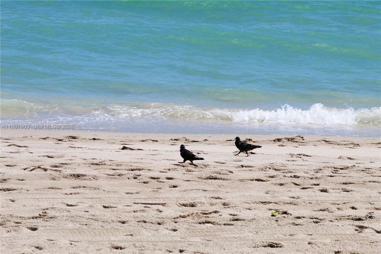 Parker Plaza Estates #821 image #41